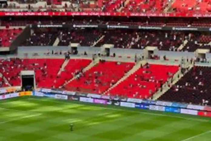 World Cup drone seizures