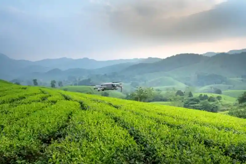 Foto stok gratis agrikultura, alam, bidang pertanian