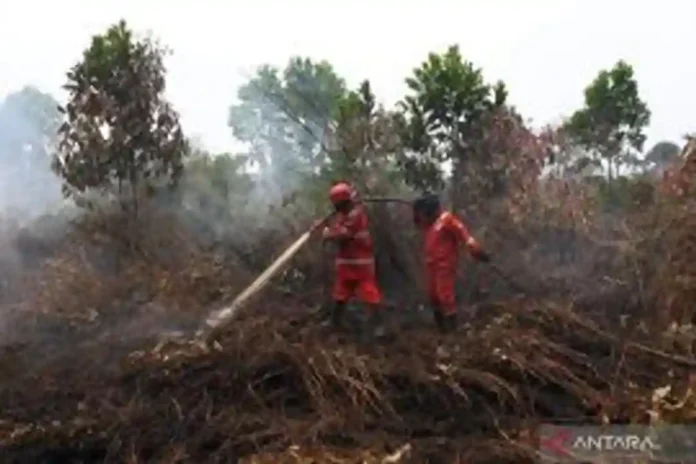 Kampar drone bombs wildfires