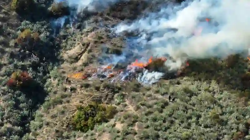 Drone equipped with thermal camera surveying a forested area